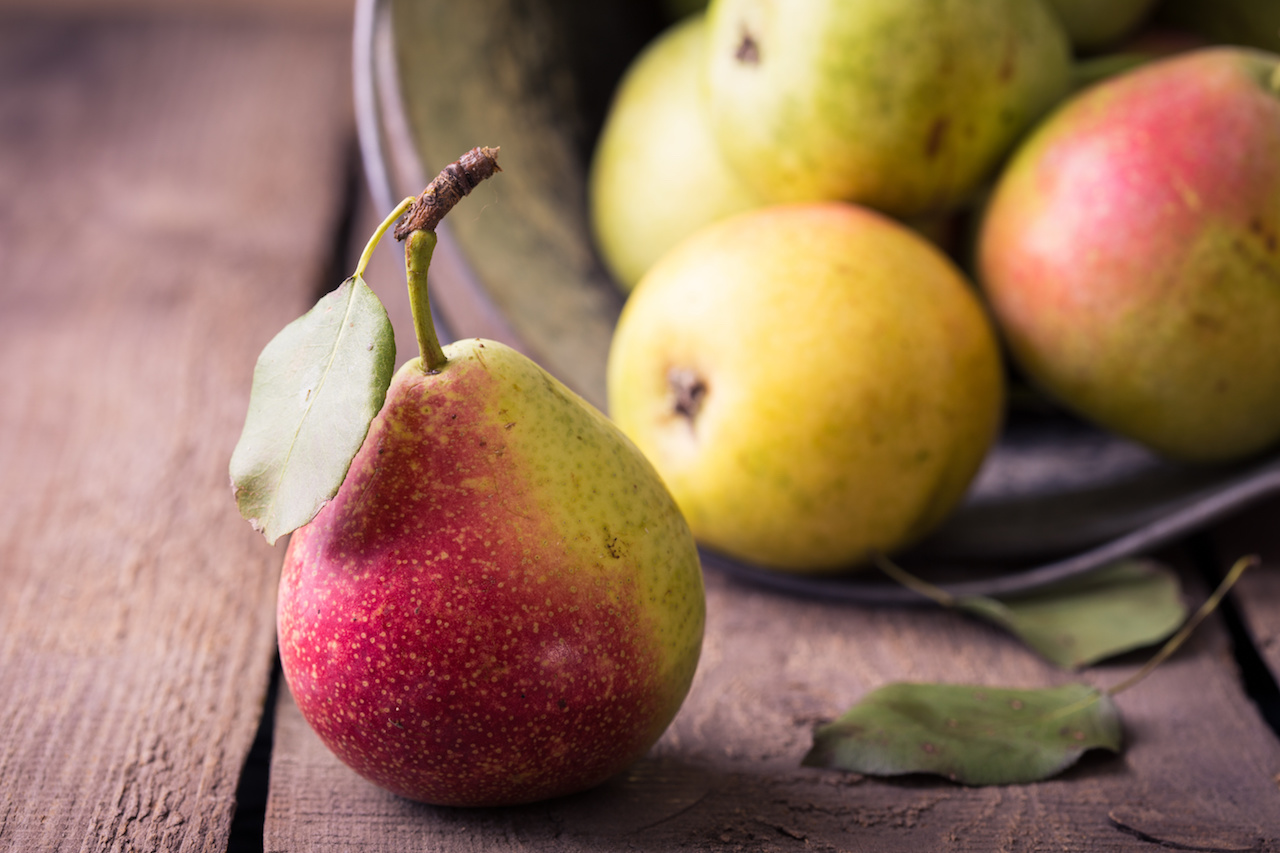 winter pears - winter produce - pears - d'anjou pears - bosc pears - recipe - fruit - winter - food - an organic conversation - education - inspiration - green media - green living - helge hellberg