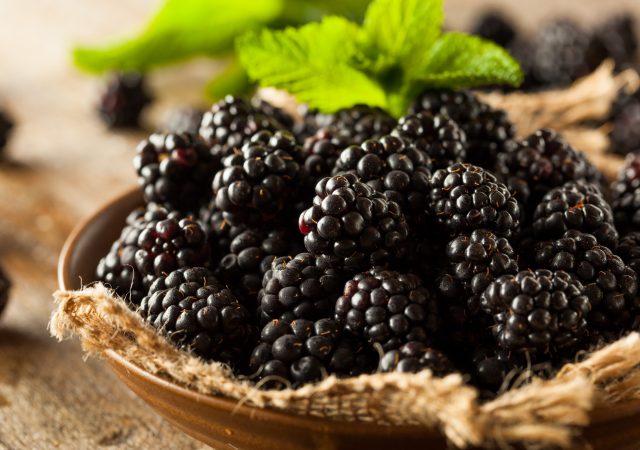 blackberry - blackberries - berries - health benefits - nutritional value - beery season - summer season - summer fruit - fruit - varietals