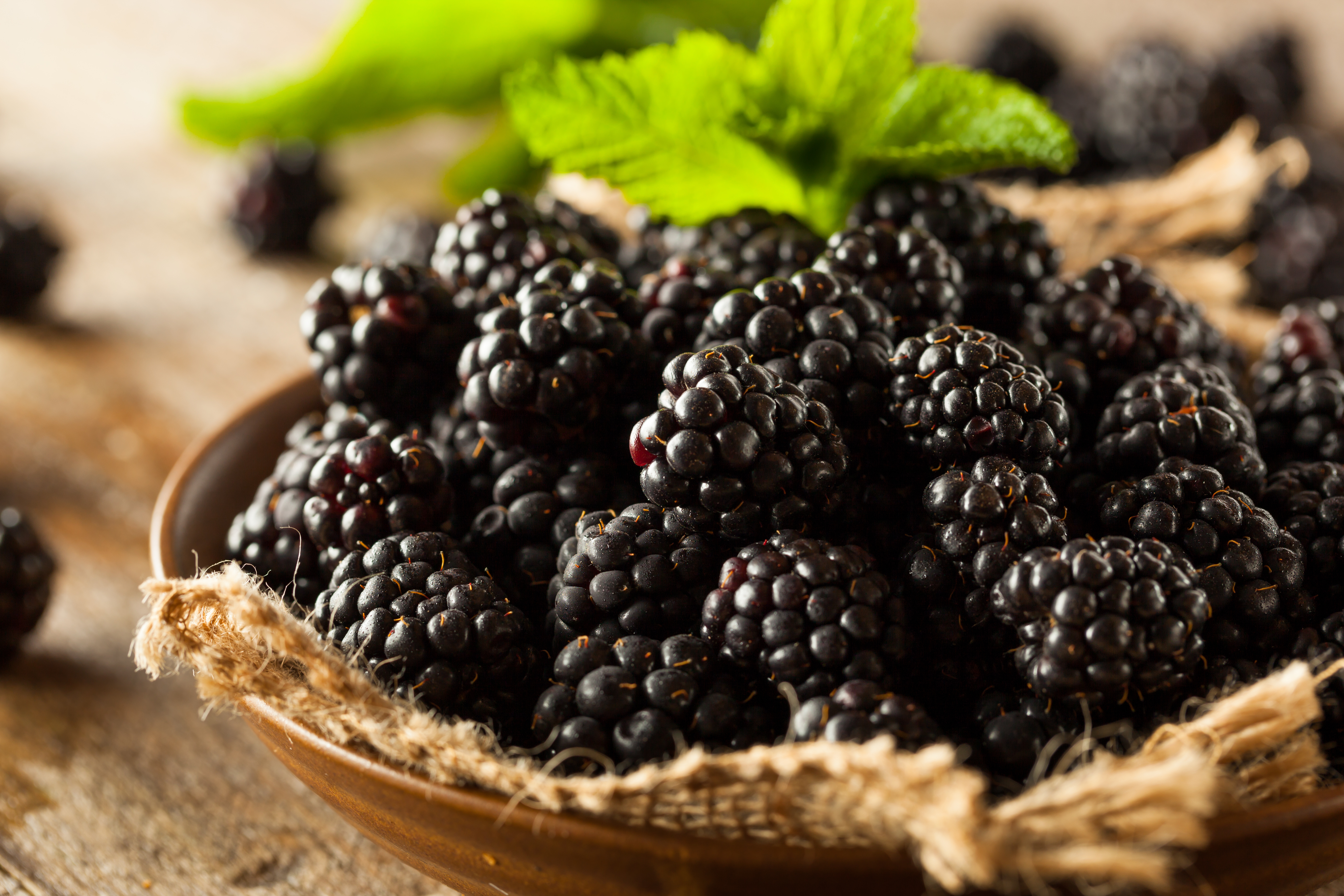 blackberry - blackberries - berries - health benefits - nutritional value - beery season - summer season - summer fruit - fruit - varietals