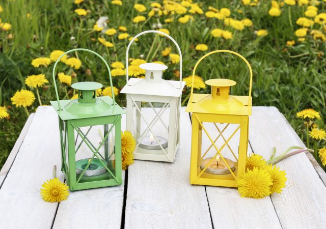 natural insect repellent - holistic - diy - bug repellant - natural skin care