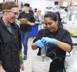 foodservice training - reintegrating - community - non-profit - an organic conversation - podcast - skills - green living - green media - inspiration - education - helge hellberg - food production
