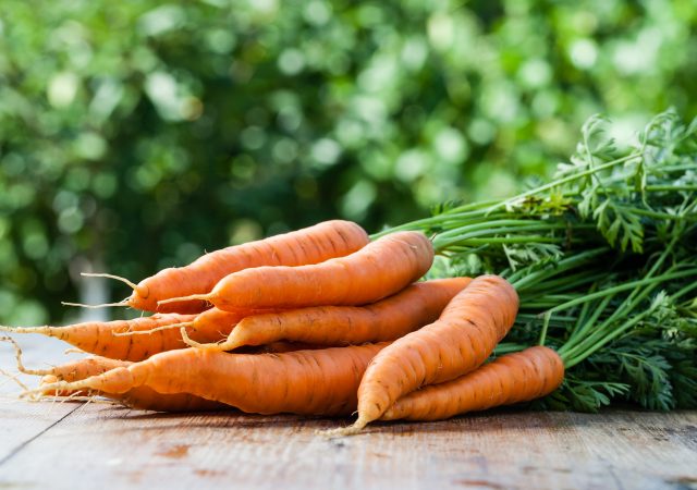 bunched carrots - organic carrots - buy and store carrots - heirloom carrots - harvest = harvesting carrots - cleaning carrots - organic vegetables - organic food