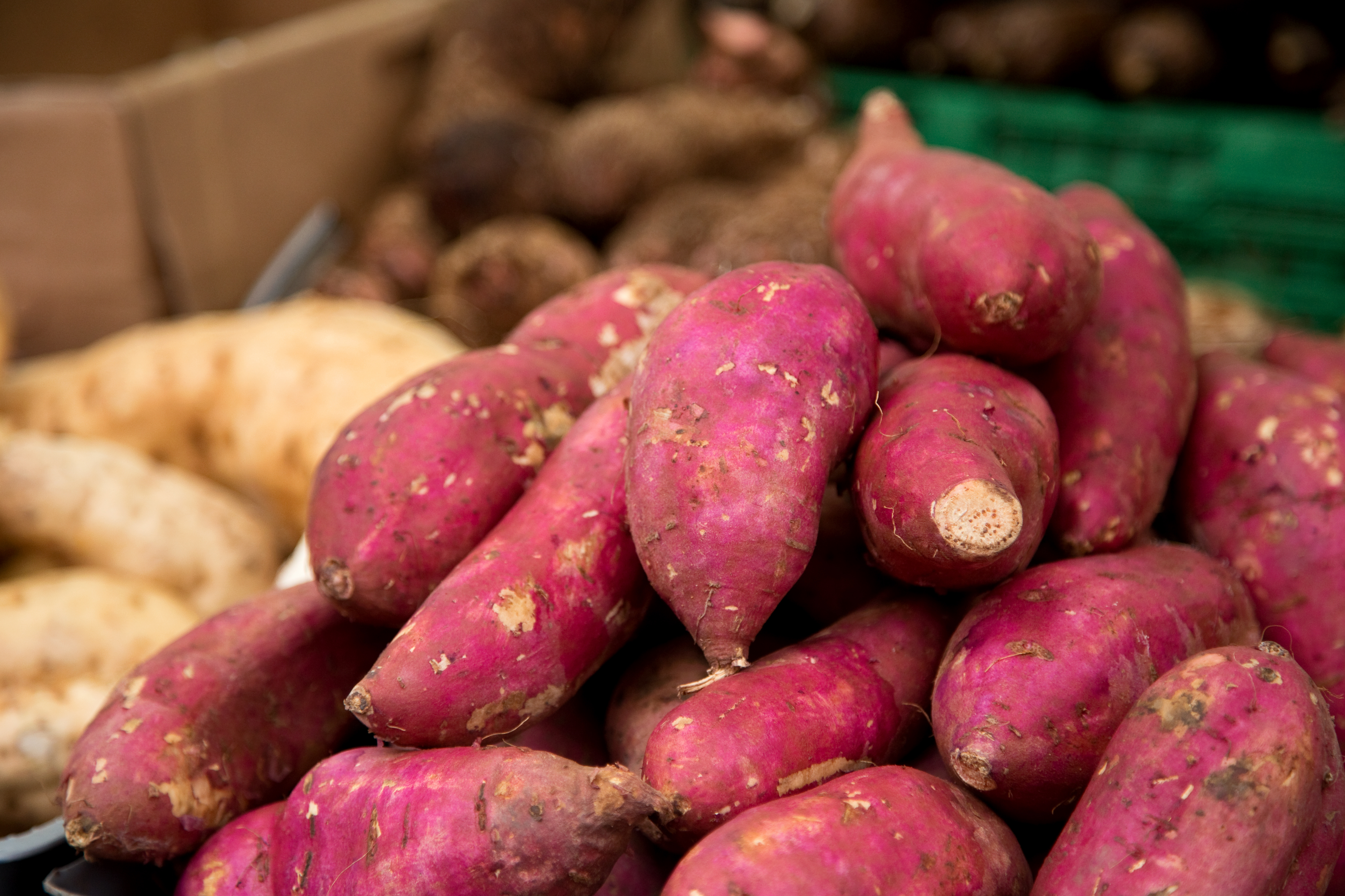 sweet potatoes and yams - sweet potatoes - varieties - varietals - holiday food - fall harvest - harvest season - tubers - root vegetables - yams