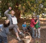 outdoor classrooms - affordable preschool outdoor classrooms - Preschool - child development - nature - children