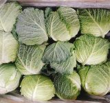 seasonal organic produce - organic produce - organic fruit - organic vegetables - seasonal organic - seasonal produce