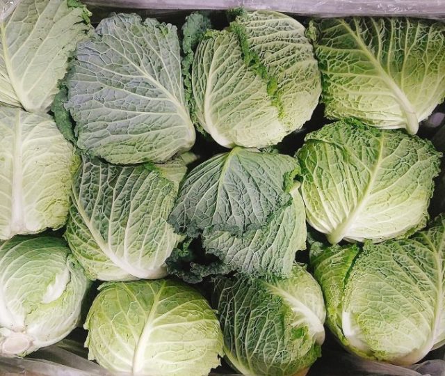 seasonal organic produce - organic produce - organic fruit - organic vegetables - seasonal organic - seasonal produce