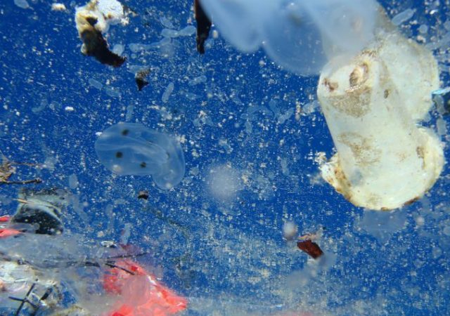 plastic pollution - a plastic ocean - documentary - science - environment - plastic - waste - film - an organic conversation - education - inspiration - green media - green living - helge hellberg