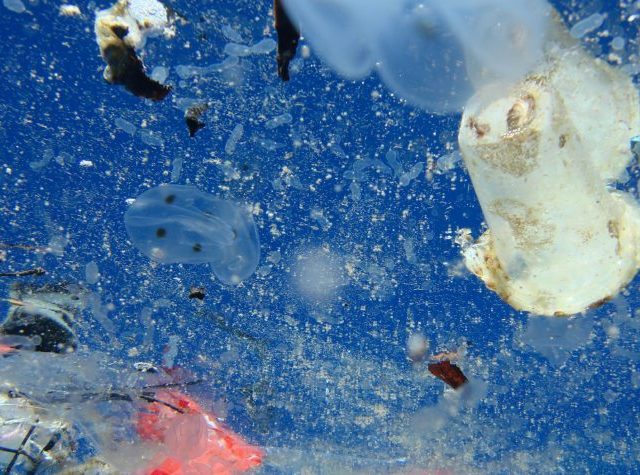 plastic pollution - a plastic ocean - documentary - science - environment - plastic - waste - film - an organic conversation - education - inspiration - green media - green living - helge hellberg