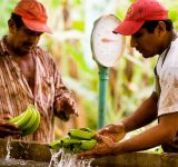 social justice in food production - equal exchange - education - fair trade - inspiration 0 green living - organic - food - agriculture - an organic conversation - podcast - helge hellberg