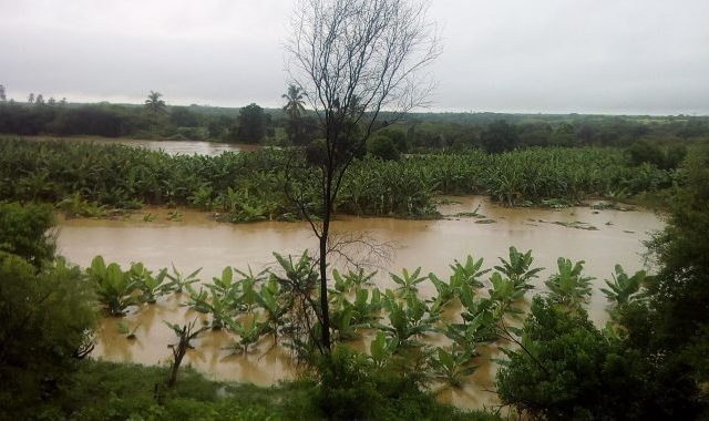 peru floods - banana farmers - floods in peru - organic media network - equal exchange - fair trade farms - climate change - floods impact on farmers