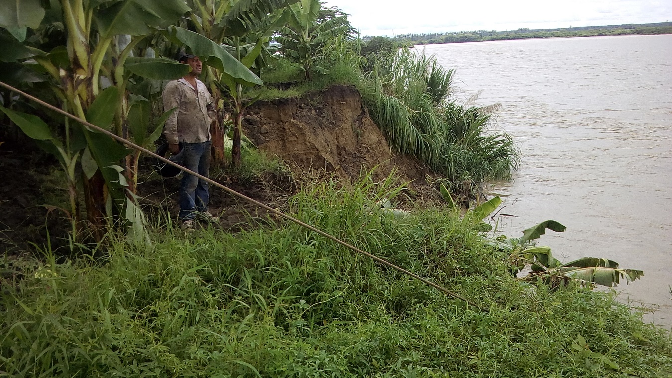 peru floods - banana farmers - floods in peru - organic media network - equal exchange - fair trade farms - climate change - floods impact on farmers