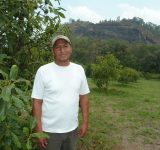avocado farmers - organic media network - organic avocados - avocado farms - organic farming