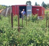off-grid ecosystems - farm from a box, sustainable farming