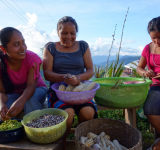 seed keepers - seed documentary - seed bank - seed preservation - seed saving