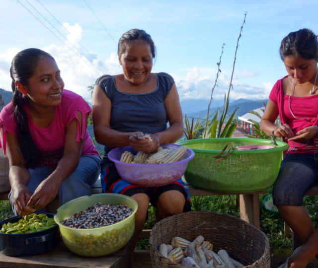 seed keepers - seed documentary - seed bank - seed preservation - seed saving