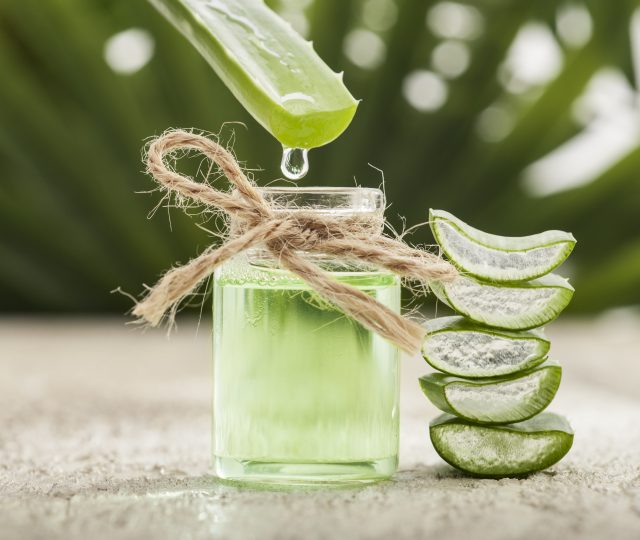 aloe vera - botanical - health benefits - beauty - natural beauty - nontoxic - all natural - natural beauty product - beauty product - aloe uses - benefits of aloe