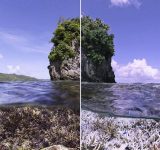 climate change - organic media network - chasing coral - oceans - coral reefs - netflix - documentary - environmental documentary - save our reefs - reefs