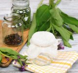 comfrey - healing power of comfrey - medicinal plant comfrey - comfrey for broken bones - comfrey medicinal - comfrey plant - comfrey herb - comfrey medicine