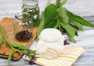 comfrey - healing power of comfrey - medicinal plant comfrey - comfrey for broken bones - comfrey medicinal - comfrey plant - comfrey herb - comfrey medicine