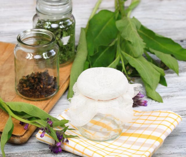 comfrey - healing power of comfrey - medicinal plant comfrey - comfrey for broken bones - comfrey medicinal - comfrey plant - comfrey herb - comfrey medicine