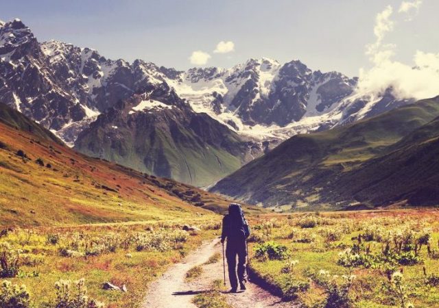 personal growth - professional growth - personal coaching - growth - executive coaching - awareness - mindfulness - leadership - alignment