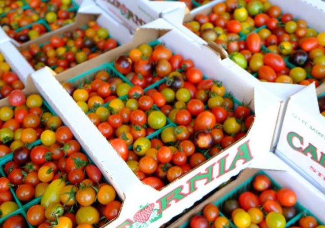 late summer produce - earl's organic produce - organic produce - seasonal produce - summer produce - organic agriculture - seasonal food