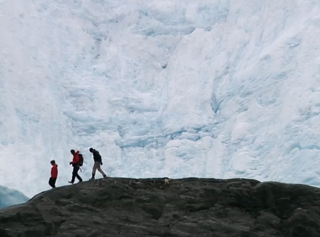 love thy nature - film - documentary - liam neeson