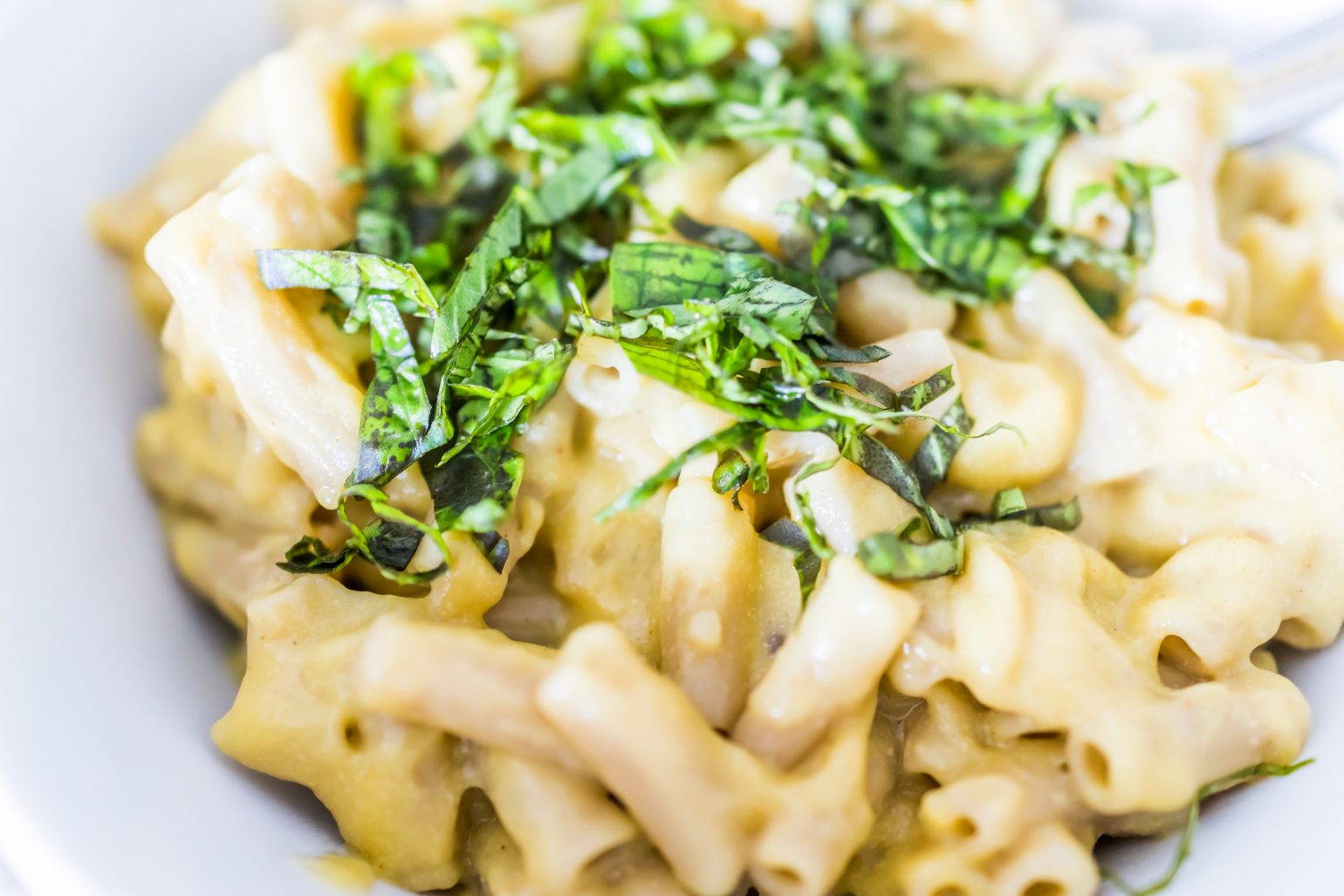 Our Top 11 Favorite Dairy Substitutes An Organic Conversation