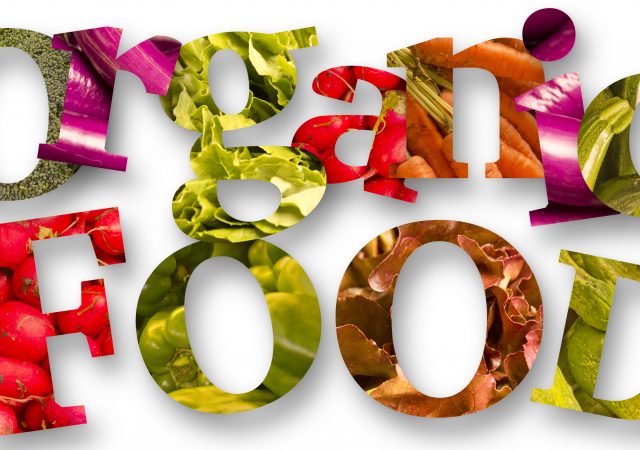 going organic - pets - organic pet food - dog health - healthy dogs - organic dog food - fur babies - organic pets - dogs - cats - pets