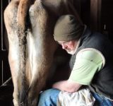 live off the land - independent farmstead - living off the land - homestead - farming - gardening - sustainability - green media - green living - an organic conversation - helge hellberg