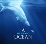 a plastic ocean - plastic ocean - documentary - plastic pollution - ocean - plastic - pollution - documentary - film - education - green media - green living - an organic conversation - helge hellberg