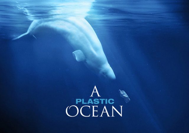 a plastic ocean - plastic ocean - documentary - plastic pollution - ocean - plastic - pollution - documentary - film - education - green media - green living - an organic conversation - helge hellberg