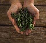 energy-boosting foods - rosemary - brain foods - foods to boost energy - foods for energy - energy foods