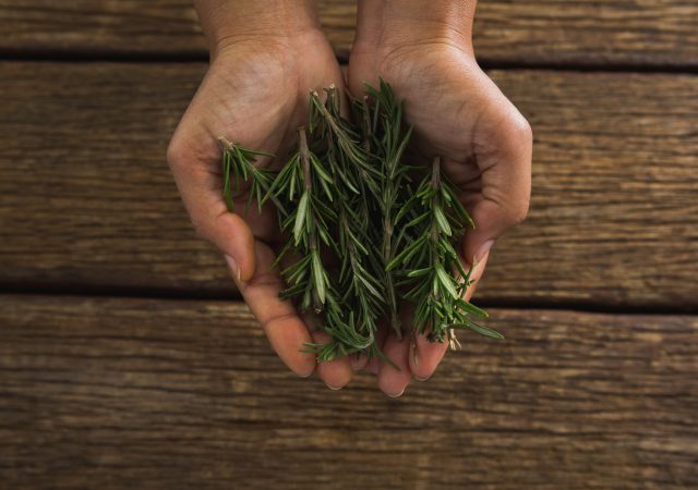 energy-boosting foods - rosemary - brain foods - foods to boost energy - foods for energy - energy foods