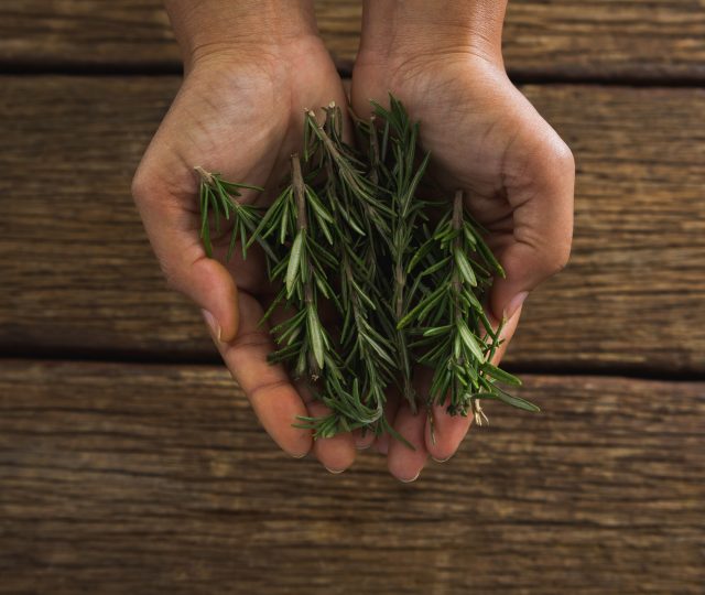 energy-boosting foods - rosemary - brain foods - foods to boost energy - foods for energy - energy foods