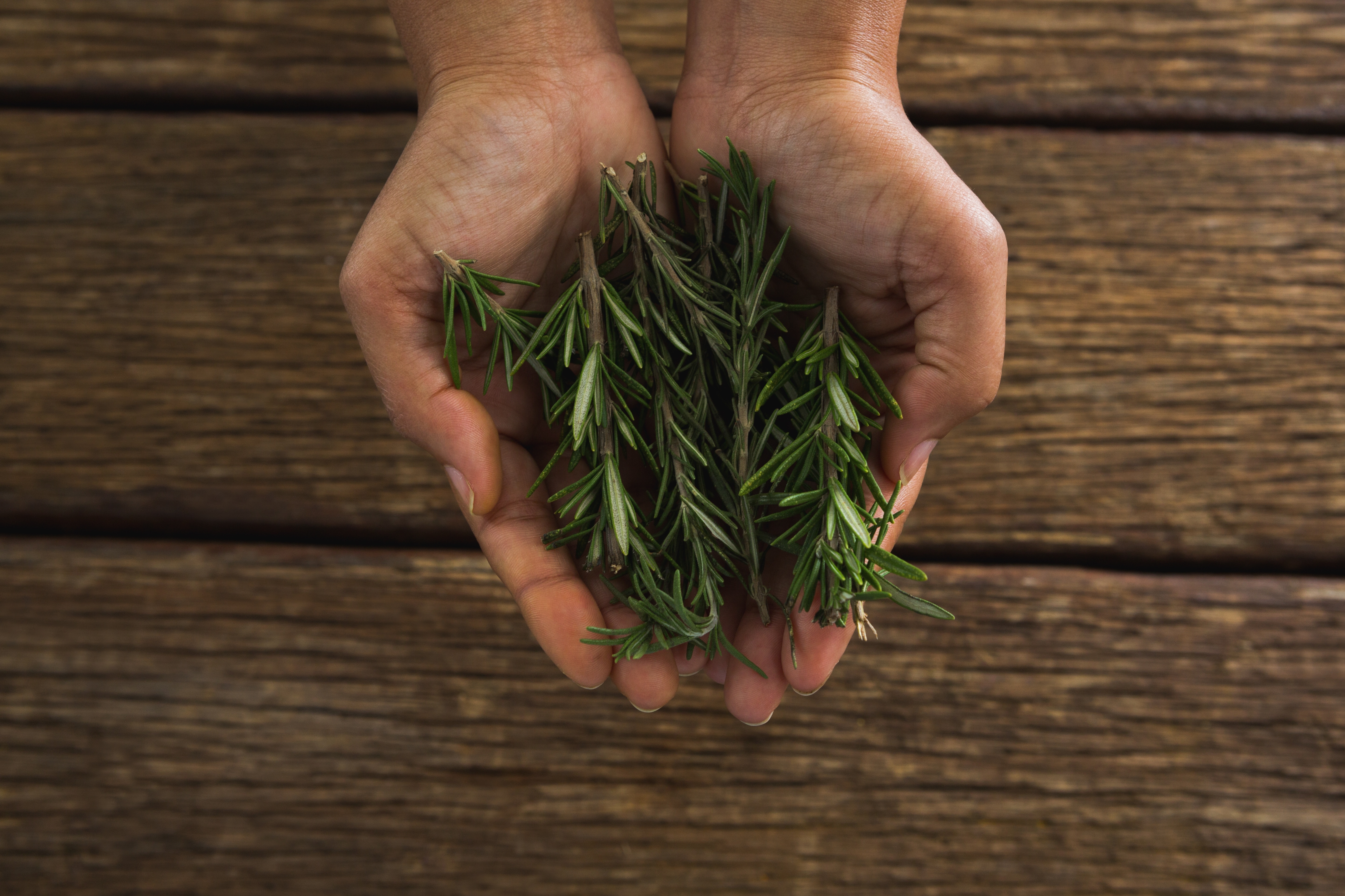 energy-boosting foods - rosemary - brain foods - foods to boost energy - foods for energy - energy foods