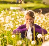 allergy-proof your life - allergy proof - allergies - allergy season - pet dander - hayfever - seasonal allergies - tips - allergy tips - holistic allergy remedy - holistic health - naturopath - naturopathy