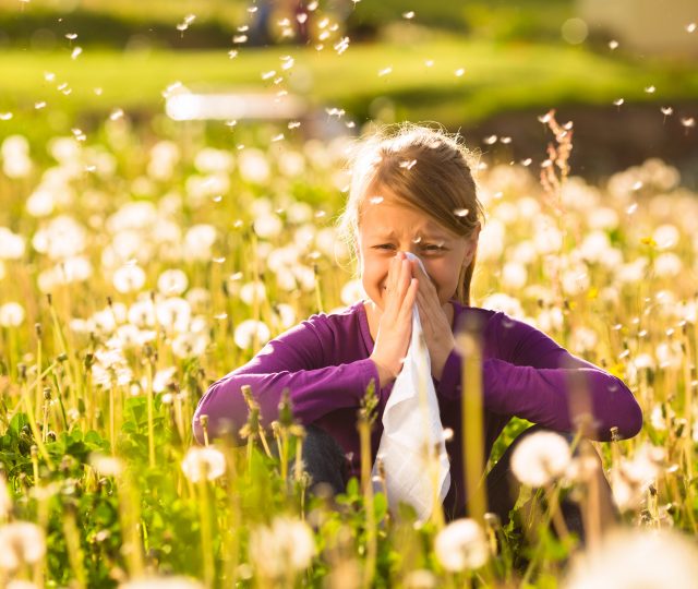 allergy-proof your life - allergy proof - allergies - allergy season - pet dander - hayfever - seasonal allergies - tips - allergy tips - holistic allergy remedy - holistic health - naturopath - naturopathy