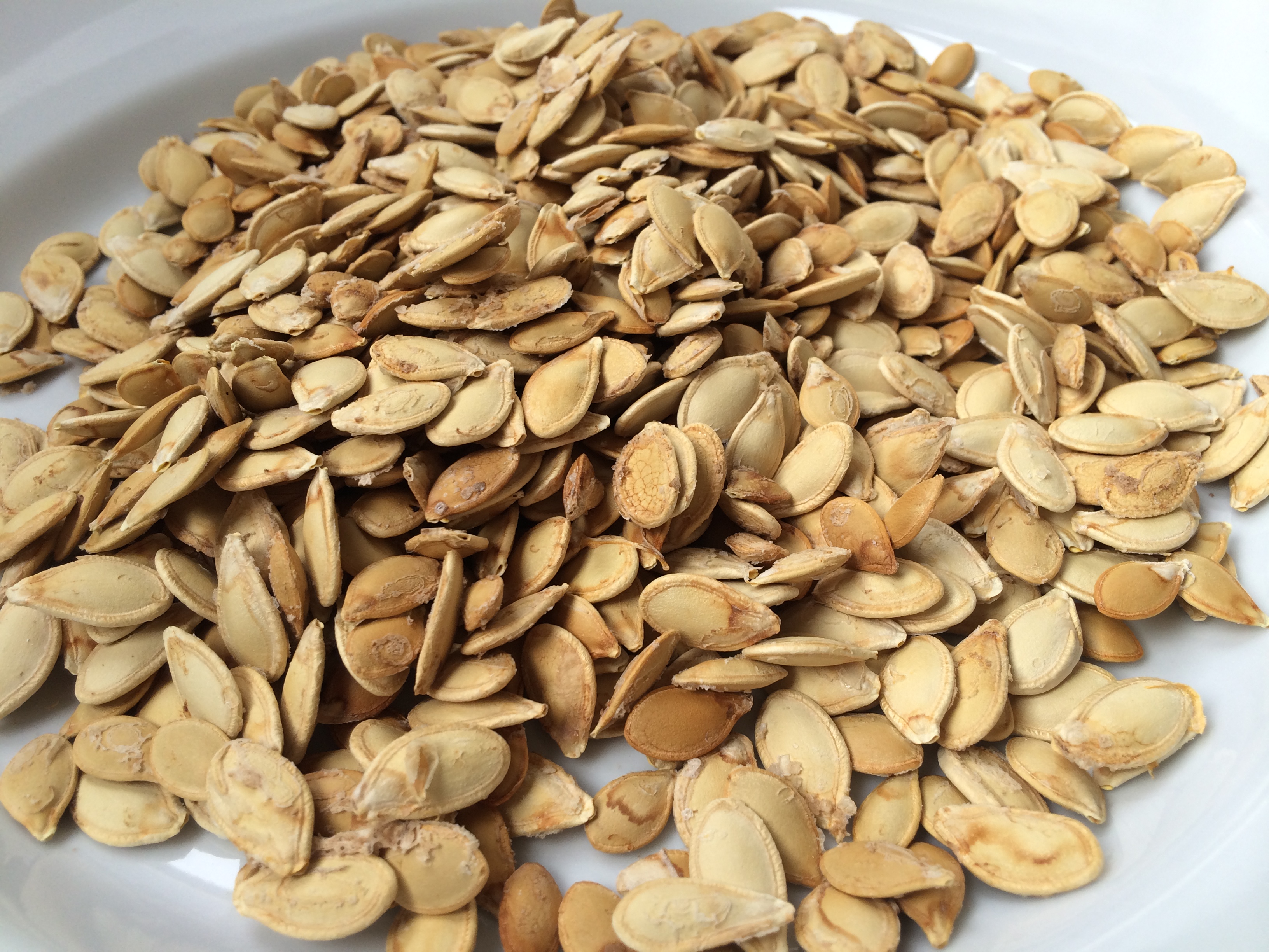 toasted pumpkin seeds - pumpkin seeds - baking method - squash - october - snacks - an organic conversation - education - inspiration - green living - green media - helge hellberg