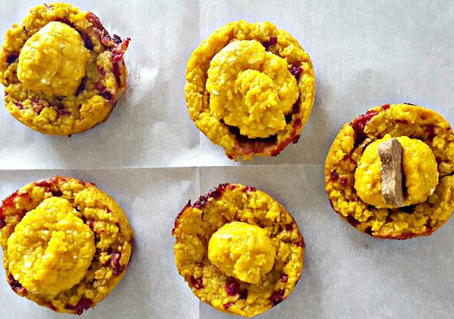 cancer-fighting dog treats - homemade dog treats - canine cancer - canine cancer foods - dog cancer - dog cancer foods - cancer fighting foods dogs - cancer fighting food pets - homemade cancer fighting food dogs