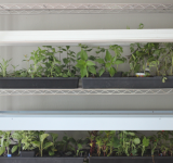diy light grow rack - how to make a light grow rack - how to make a grow rack - diy grow rack - gardening grow rack - make your own gardening grow rack