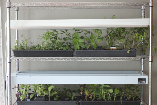 How to Make Your Own DIY Grow Light Rack | An Organic Conversation