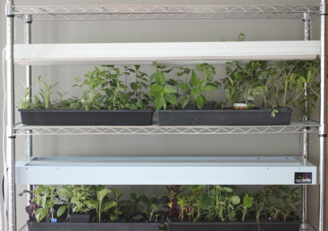 diy light grow rack - how to make a light grow rack - how to make a grow rack - diy grow rack - gardening grow rack - make your own gardening grow rack
