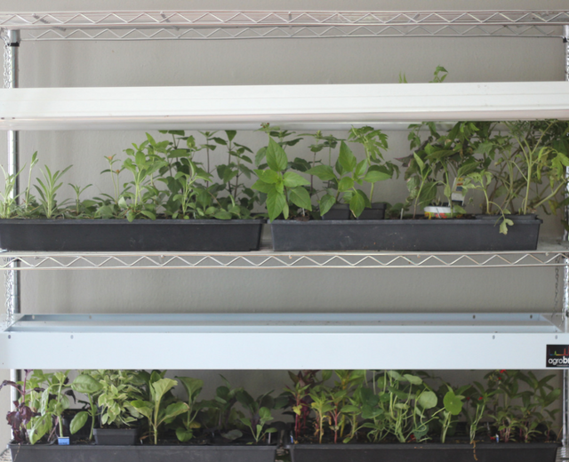 diy light grow rack - how to make a light grow rack - how to make a grow rack - diy grow rack - gardening grow rack - make your own gardening grow rack