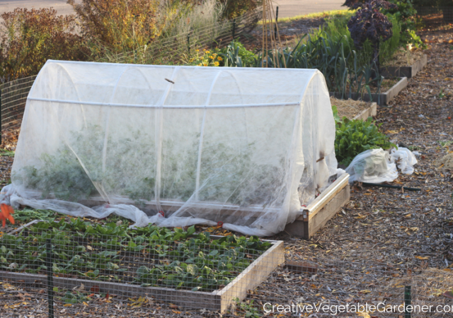 fall garden with row cover to prepare for winter