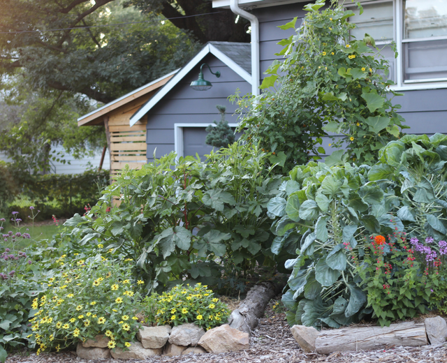 garden mistakes - gardening - vegetable garden - gardening - gardener - organic - organic garden - gardening tips - green living - green media - an organic conversation - inspiration - education - helge hellberg