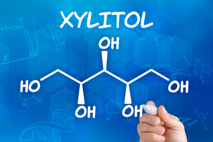 xylitol poisoning in dogs - xylitol - dogs - xylitol poisoning- dog health - pet safety -dog safety - pet wellness