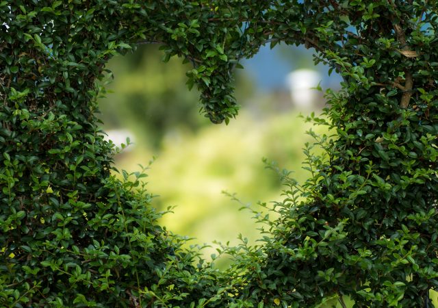 boost heart health - healthy heart - foods for healthy heart - heart foods - foods that benefit heart - healthy heart foods - heart diet
