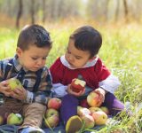 chronic illness in children - GMO's - GMOs - GM foods - GM foods and health - children's health - children's health food - kids health food - kids sickness food