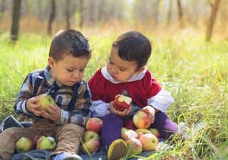 chronic illness in children - GMO's - GMOs - GM foods - GM foods and health - children's health - children's health food - kids health food - kids sickness food